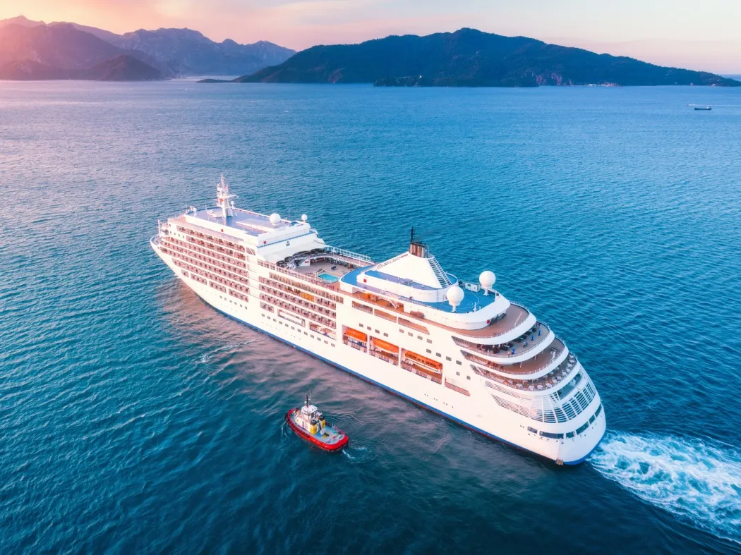 Cruise navigating