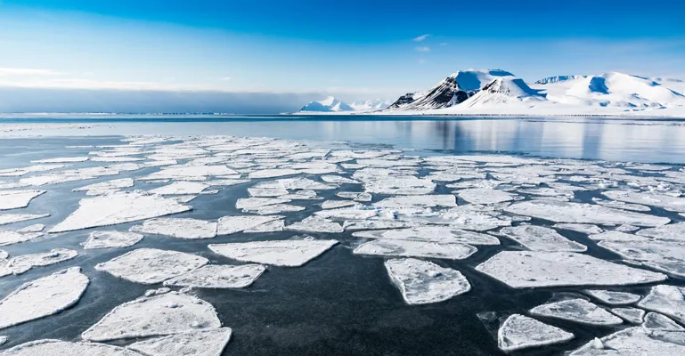 Floating sheets of ice in the ocean